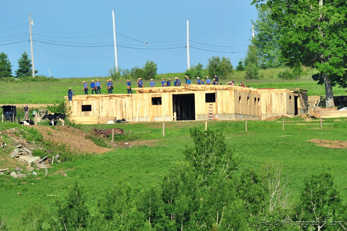 amish barn raising 1