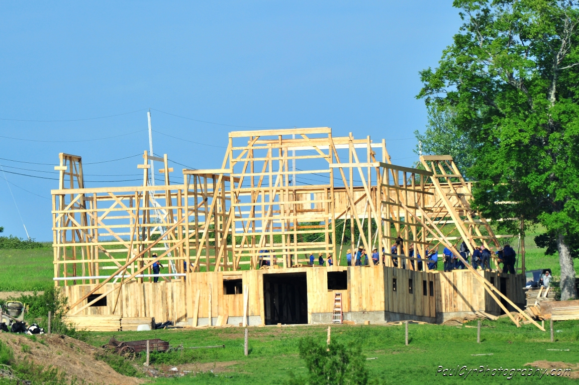 amish barn raising 4