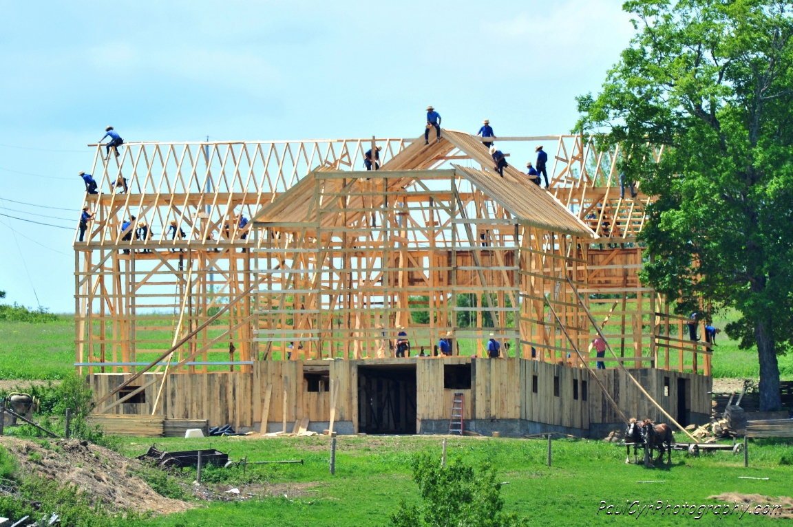 amish barn raising 4