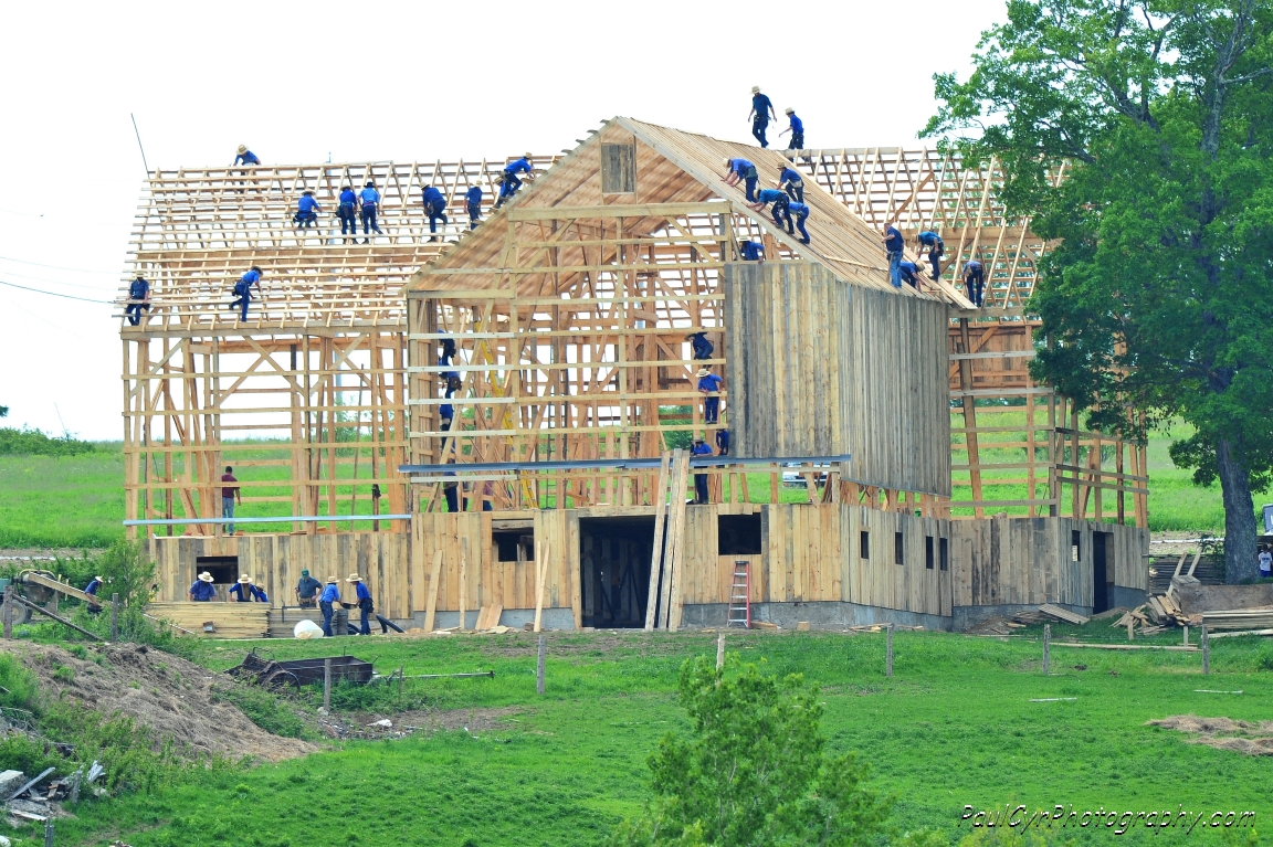 amish barn raising 4