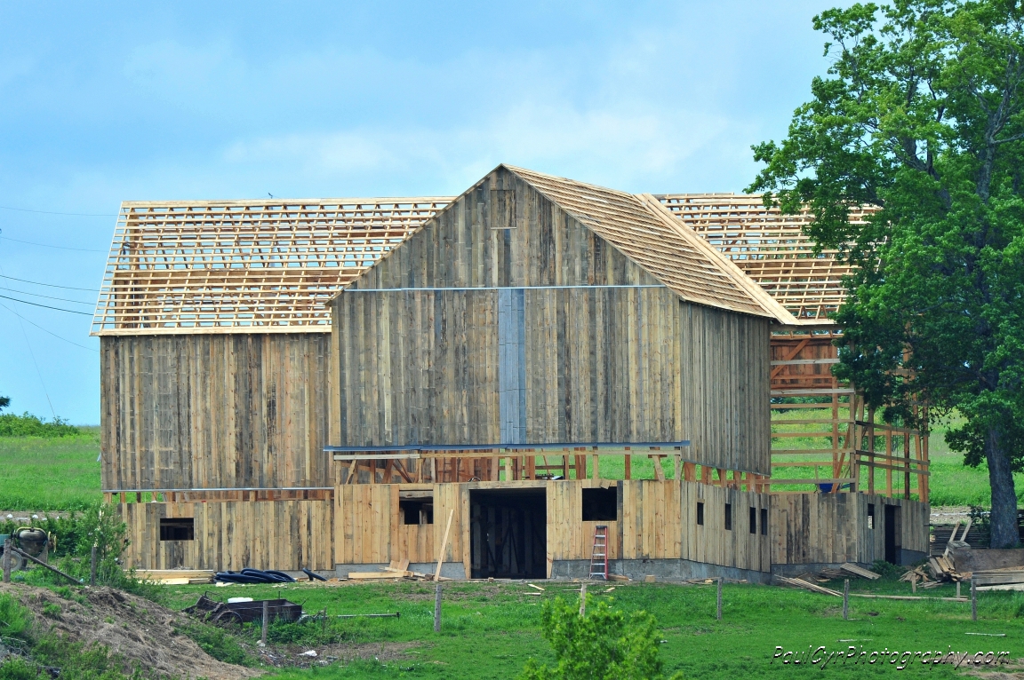 amish barn raising 4