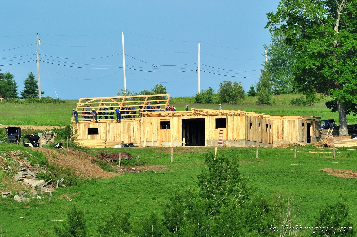 amish barn raising 2