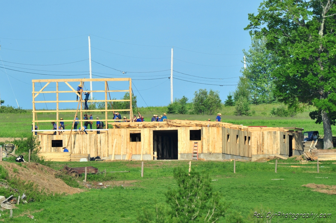 amish barn raising 3