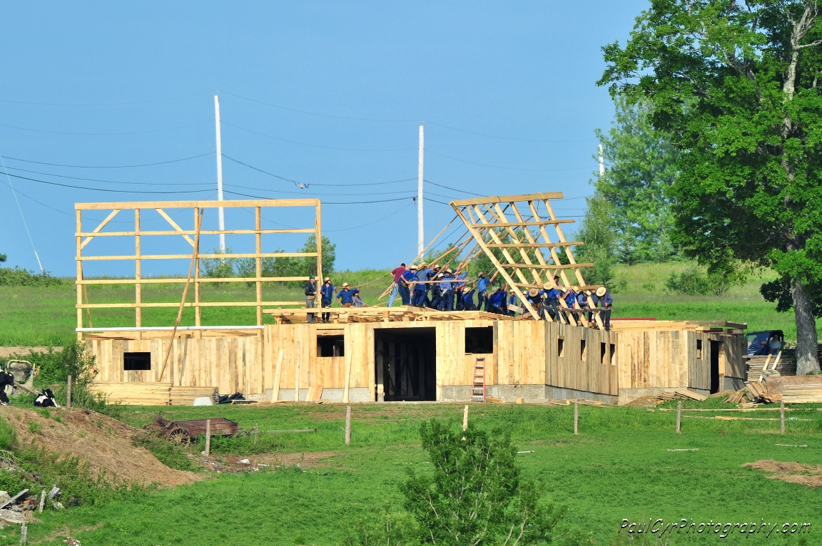 amish barn raising 4