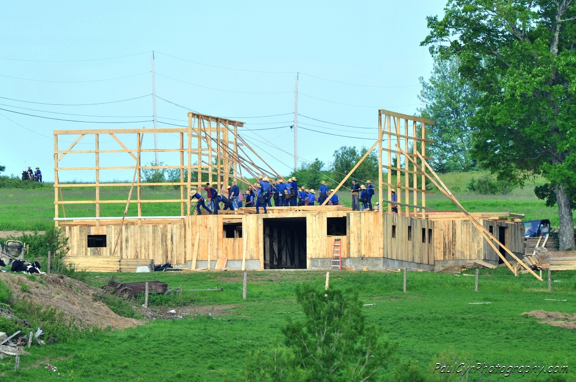 amish barn raising 4