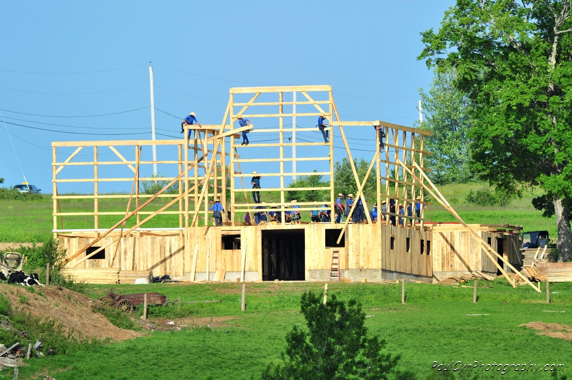 amish barn raising 4