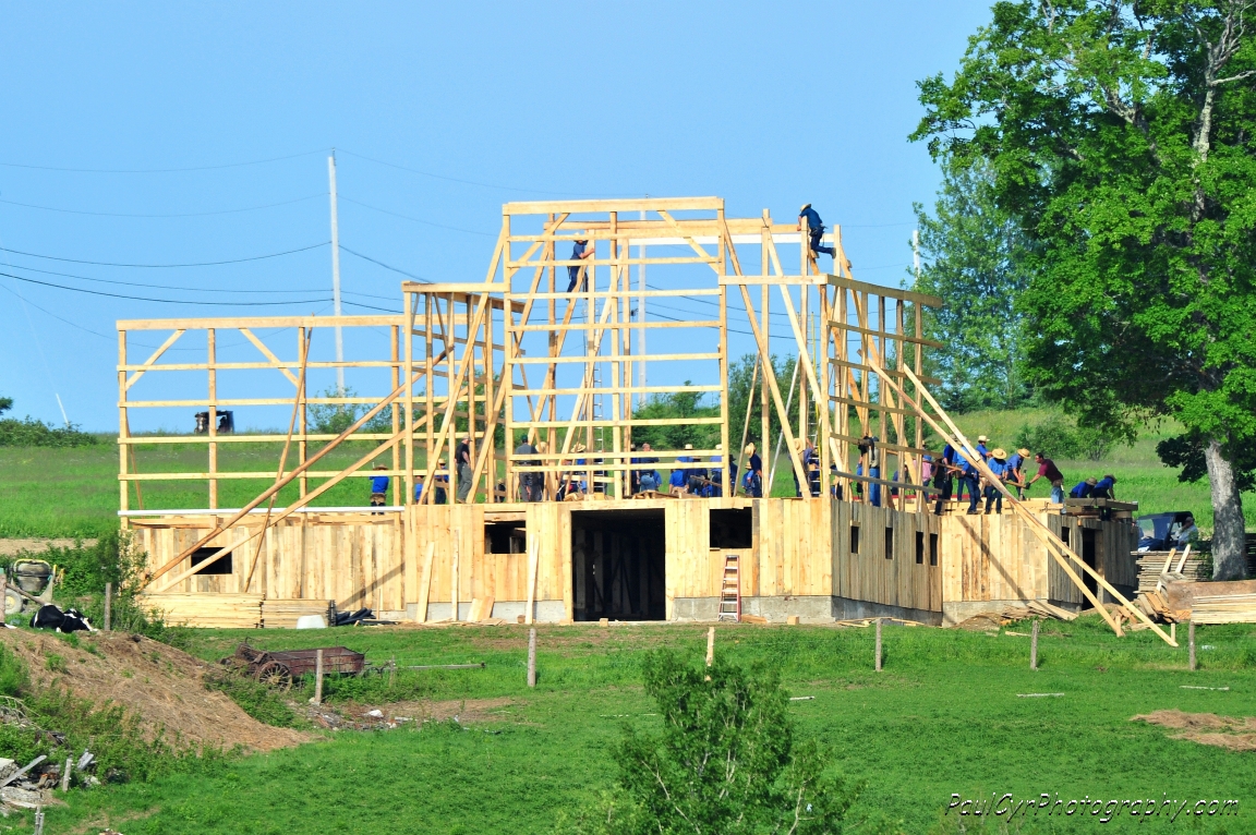 amish barn raising 4