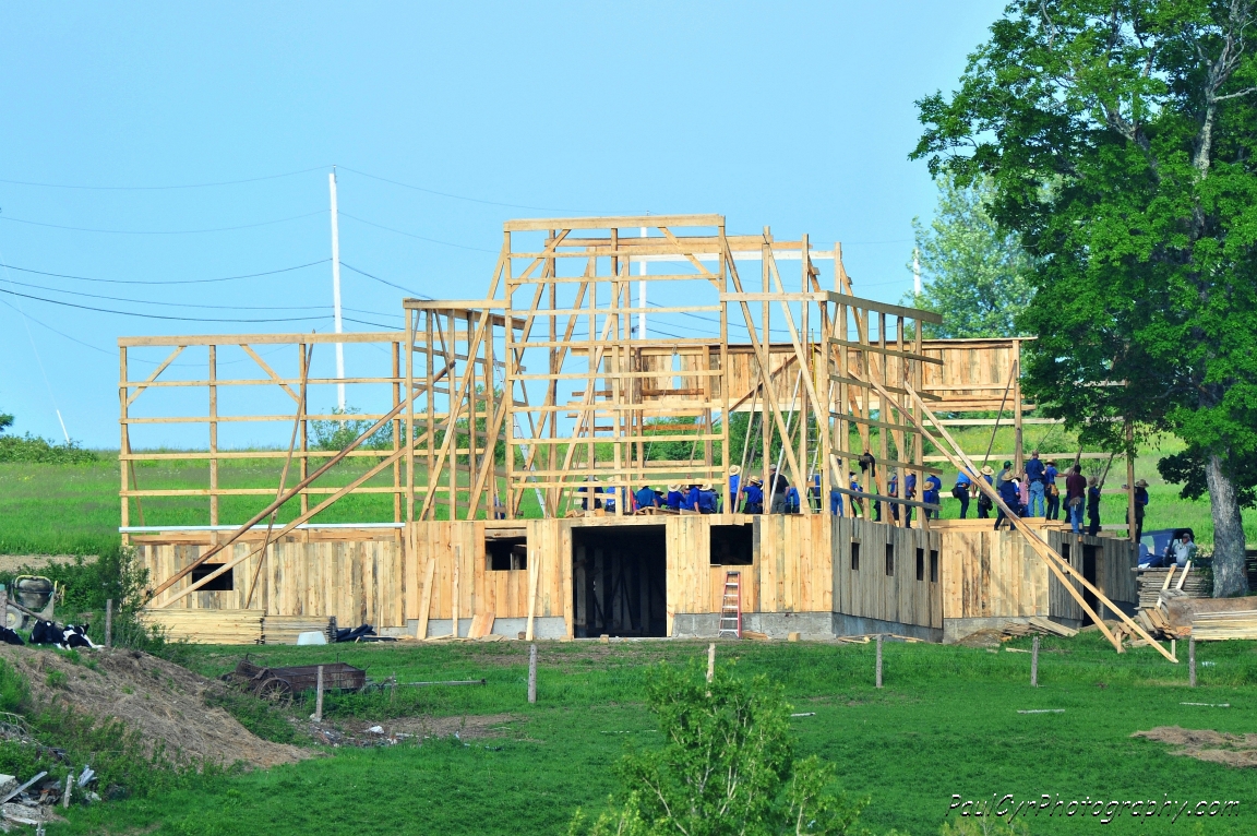 amish barn raising 4