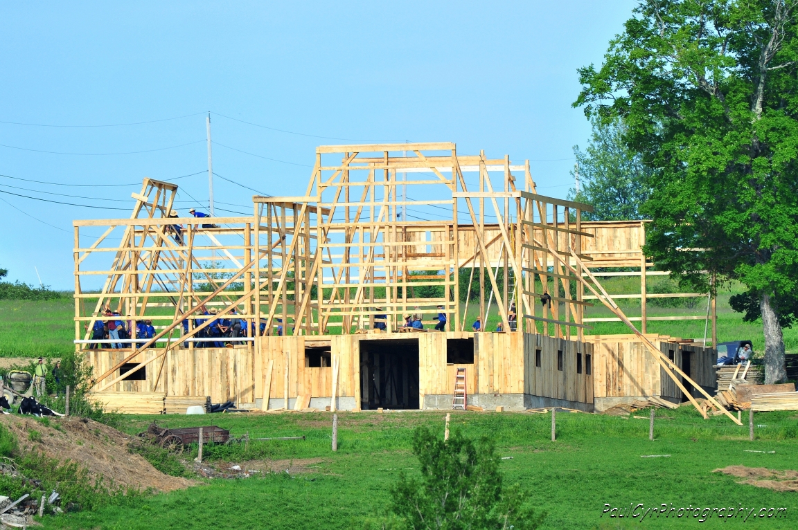 amish barn raising 4